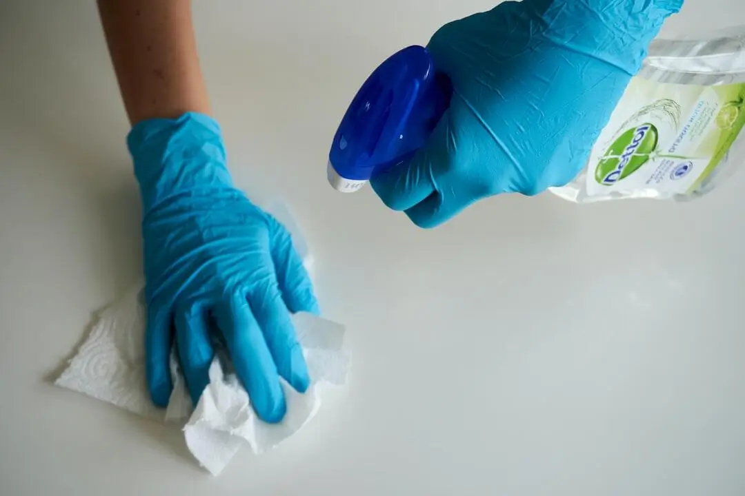 Eco-Friendly Cleaning Practices for High Point Vacation Homes: Sustainable Solutions
